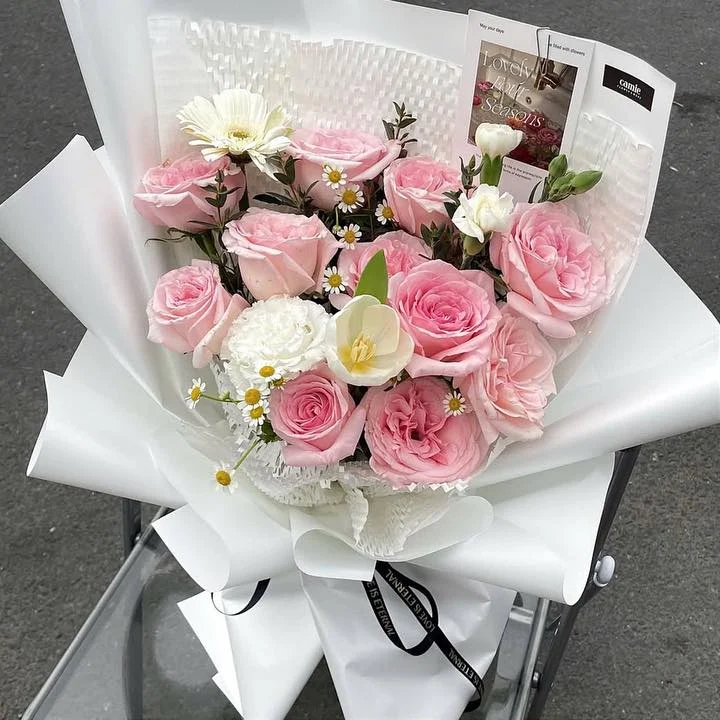 Hồng Phấn Và Tulip Trắng