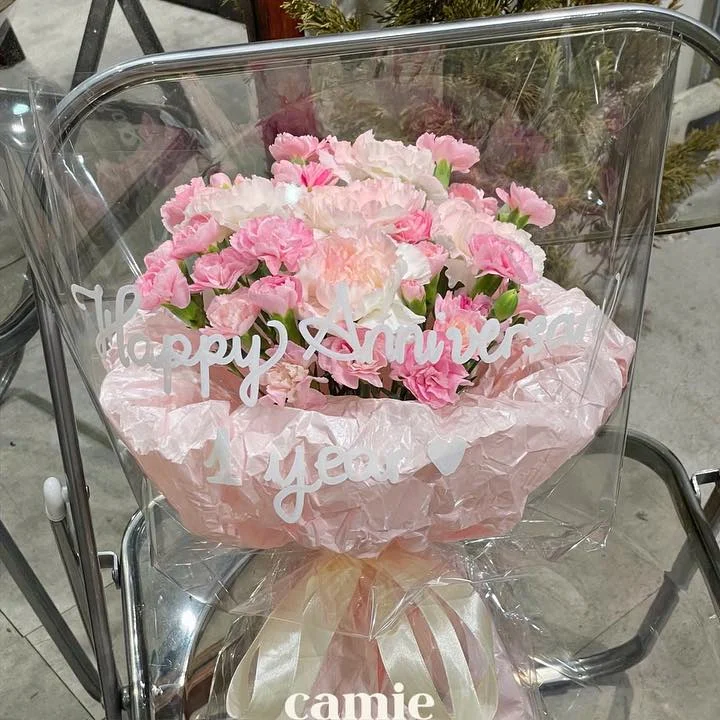 Cẩm Chướng Hồng Kỷ Niệm