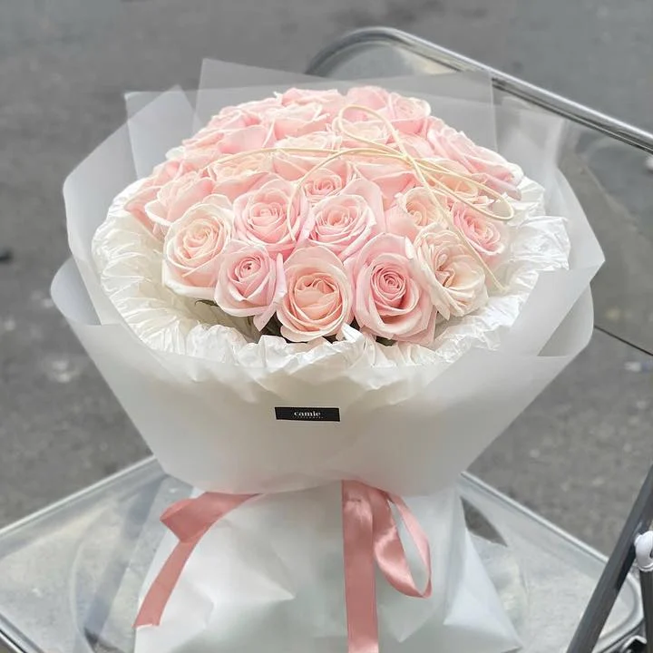 Hồng Phấn Tròn Viền Trắng