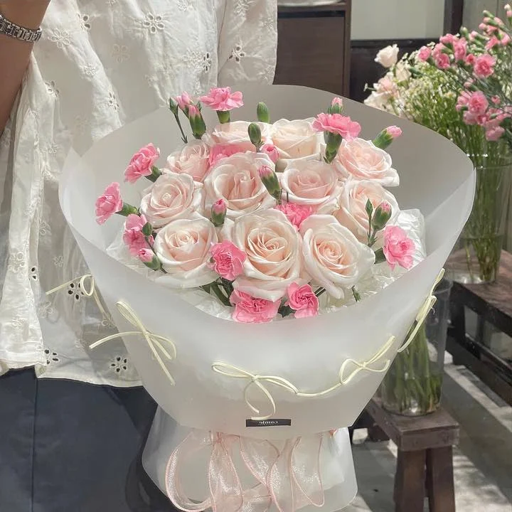 Hồng Phấn Điểm Cẩm Chướng
