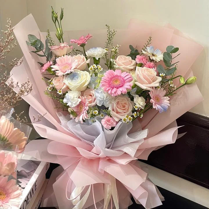 Đồng Tiền Hồng Giấy Pastel