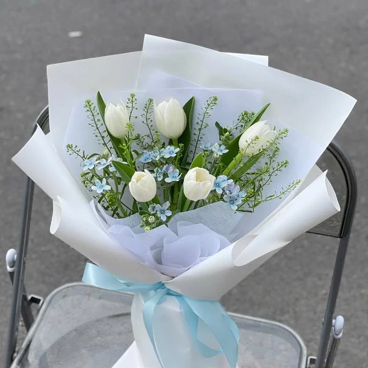 Tulip Trắng Nơ Xanh