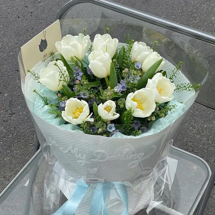 Tulip Trắng Giấy Xanh Nhạt