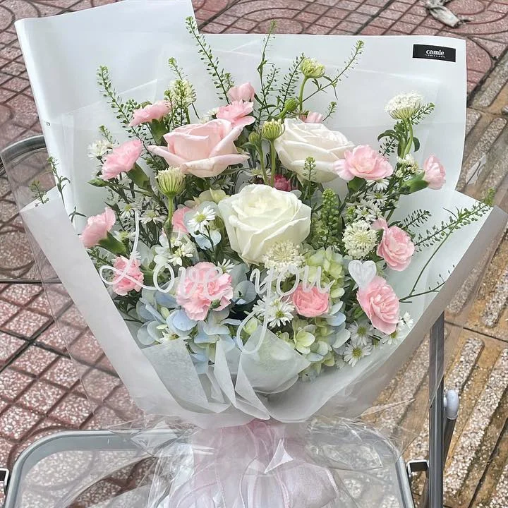 Hồng Trắng Phấn Nền Xanh