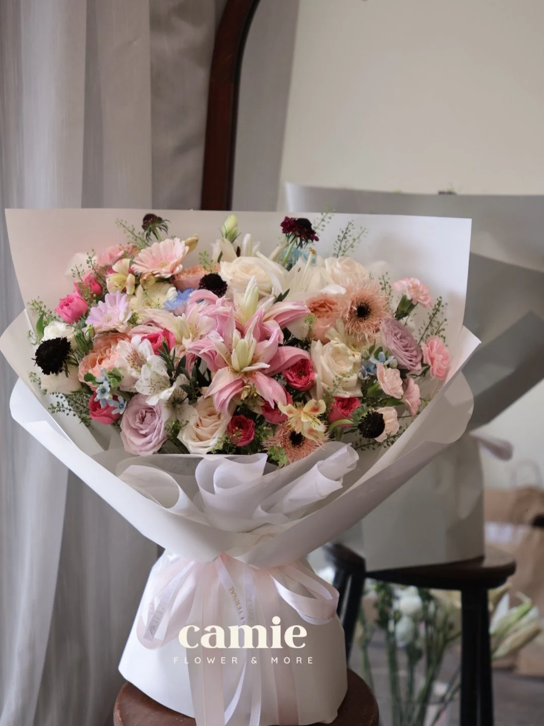 Ly Hồng Và Đồng Tiền Pastel